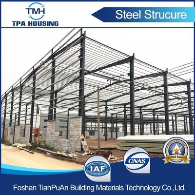 Prefabricatied Steel Structural Dairy Farm Shed with Customized Size--TPA-SSH01